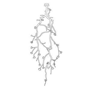 Aura Flora Large Long Branch Flower Chandelier
