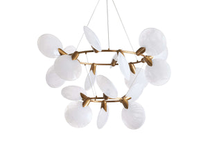 Lyla Chandelier-Vancei