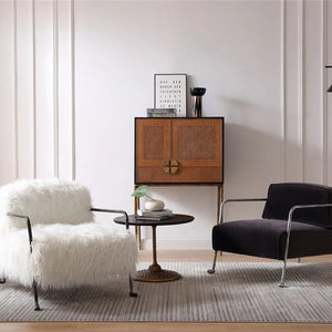Thaddies Metal Frame Rattan Side Cabinet-Vancei