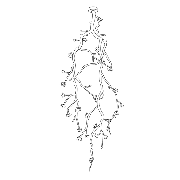 Aura Flora Large Long Branch Flower Chandelier