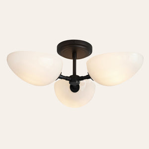 Argus Glass Semi-Flush Mount