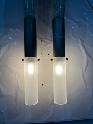 Antonia Horsehair Double Sconce