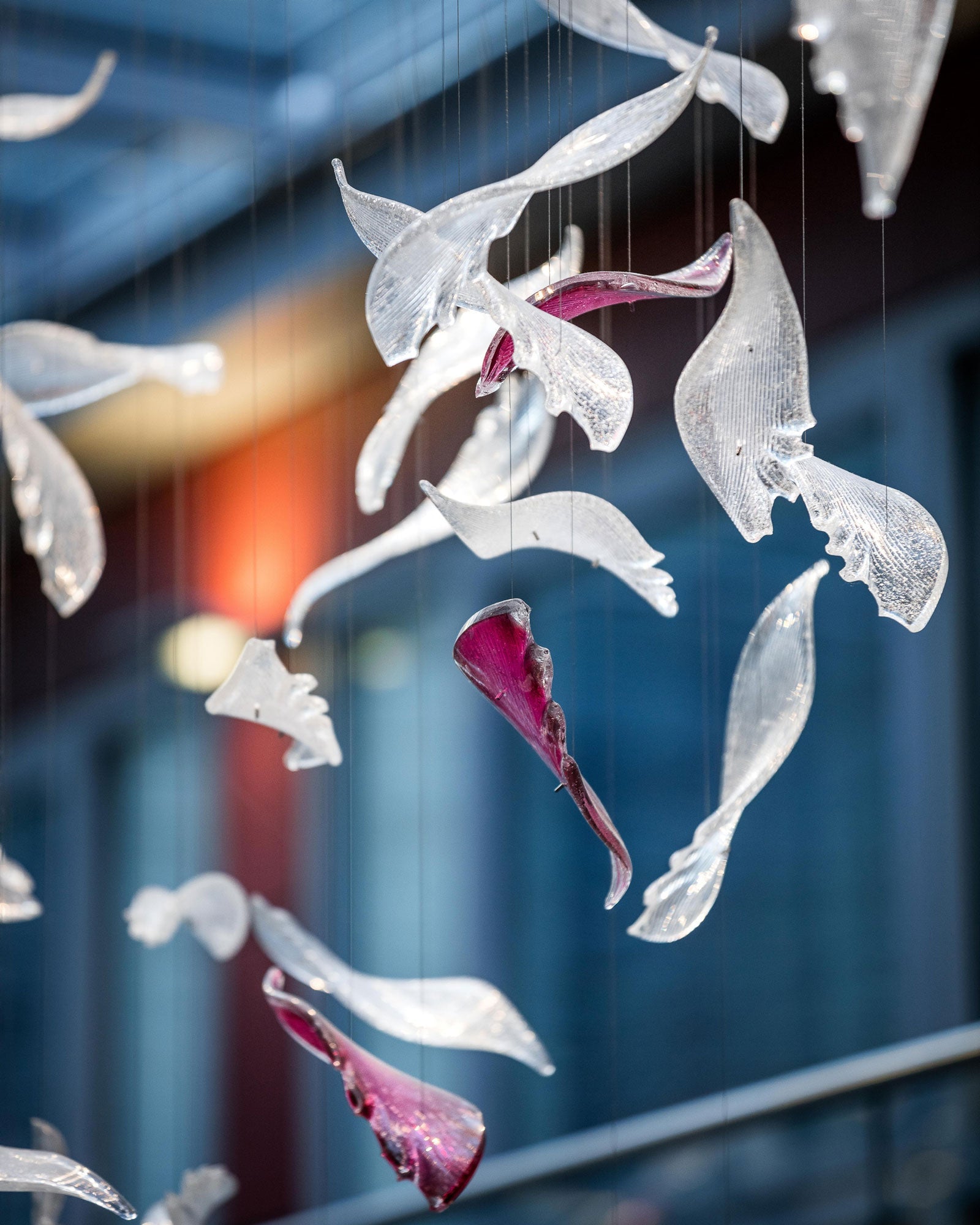 Flying Glass Feather Chandelier-Vancei
