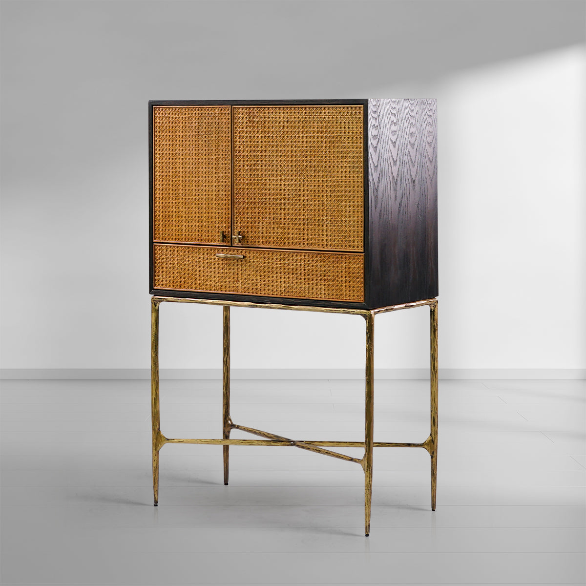 Thaddies Metal Frame Rattan Side Cabinet-Vancei